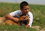 ENFANT ET CHIEN 391